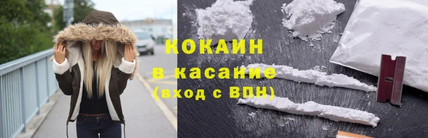 дмт Лиски