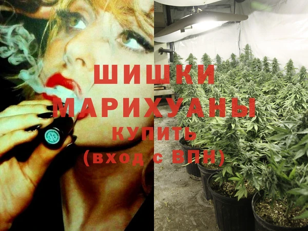 дмт Лагань